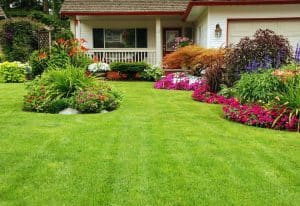 Landscaping design services