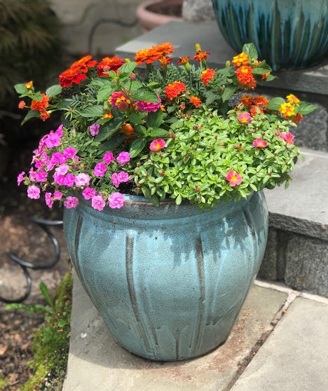 New Rochelle garden planters with lantana, mini petunias and portulaca