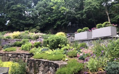 How to Incorporate Functional Hardscaping into Your Landscape Design