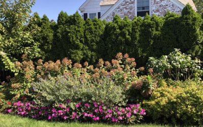 How to Prepare Your Landscape for Fall: Tips for Late-Summer Maintenance