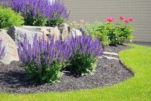 Landscaping and Mulch Design