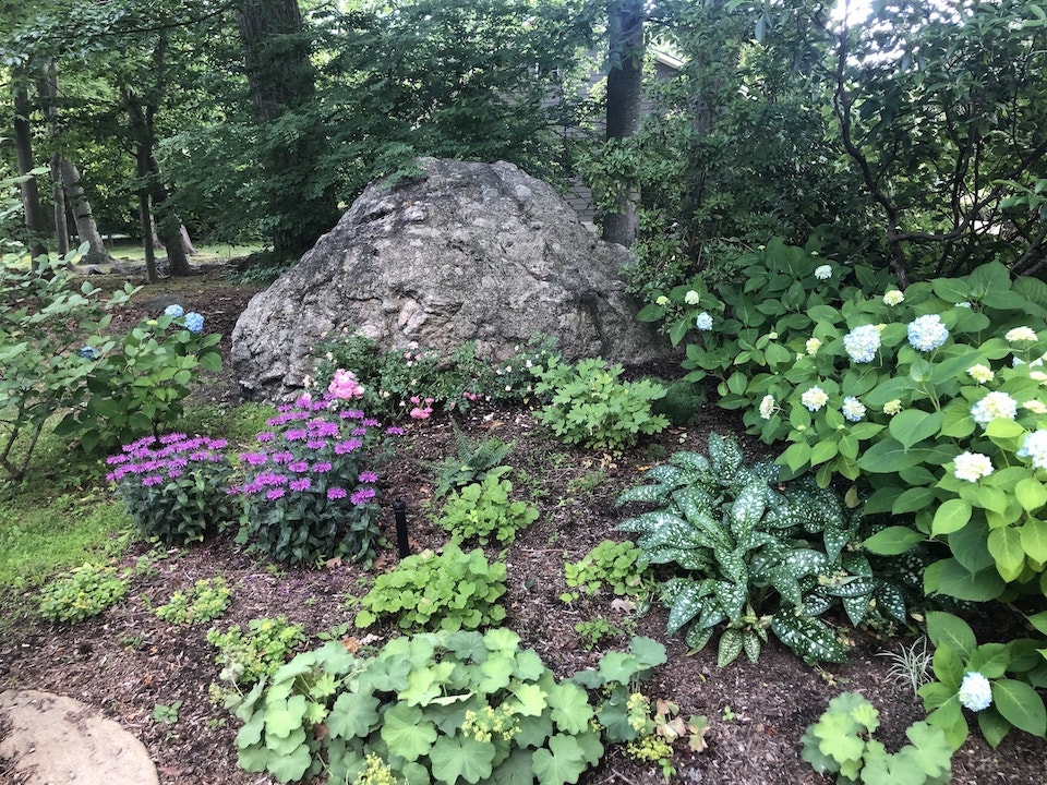 Rock garden in part shade in New Rochelle