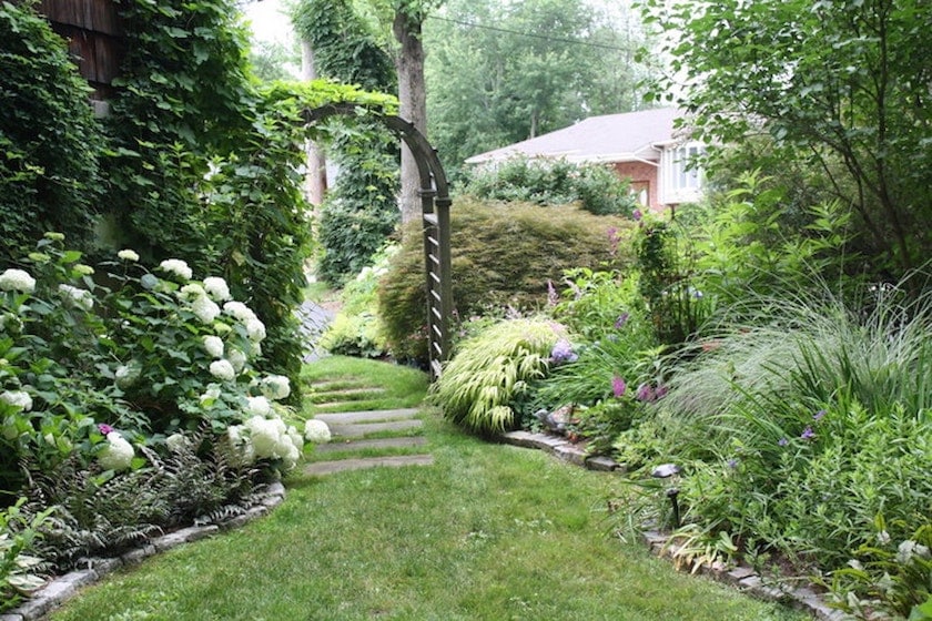 Landscaping of the side yard with hydrangea, grasses, fern and astilbe