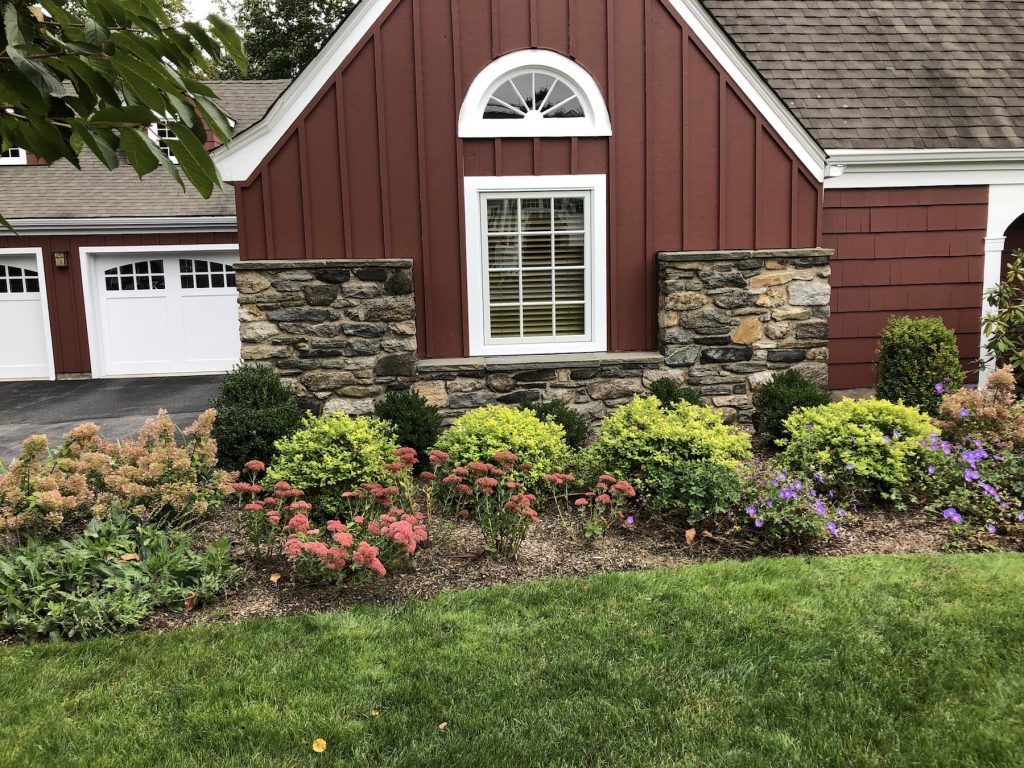 Front yard garden with spirea, hydrangea, sedum and geranium in Harrison, NY