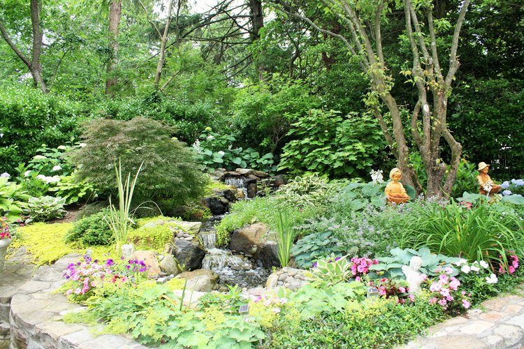 Lush pond garden is the focal point to this outdoor room