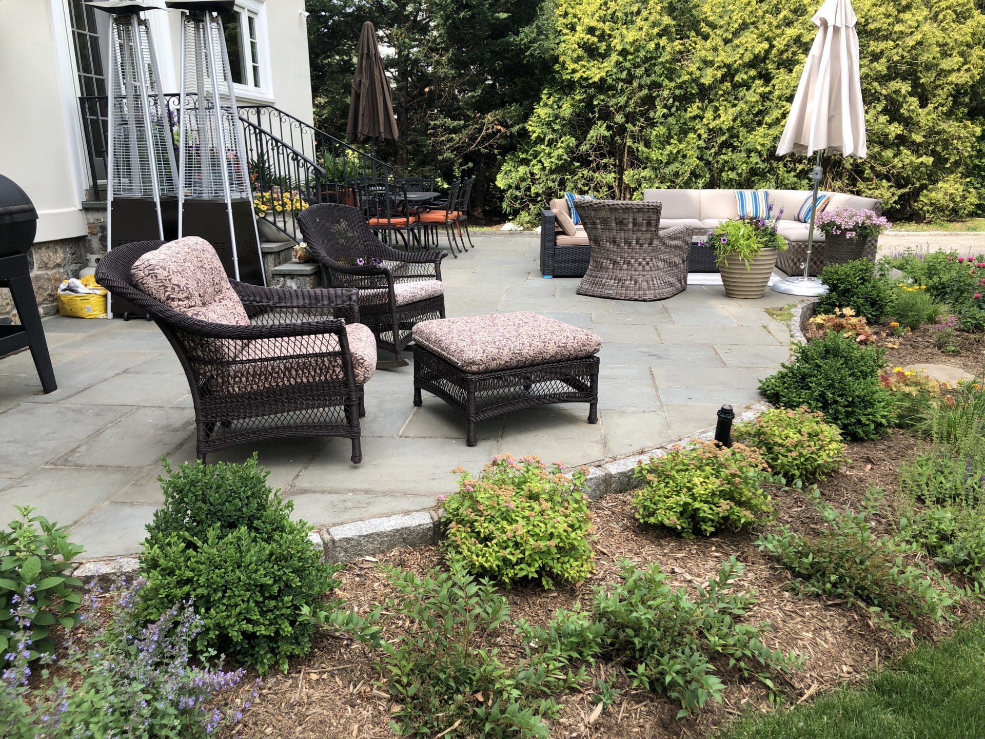 This New Rochelle backyard’s patio is now bordered by flowering shrubs and perennials