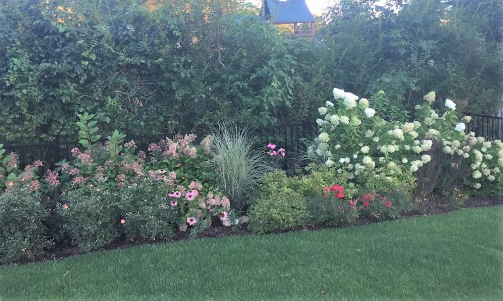 Privacy border – garden design with hydrangea