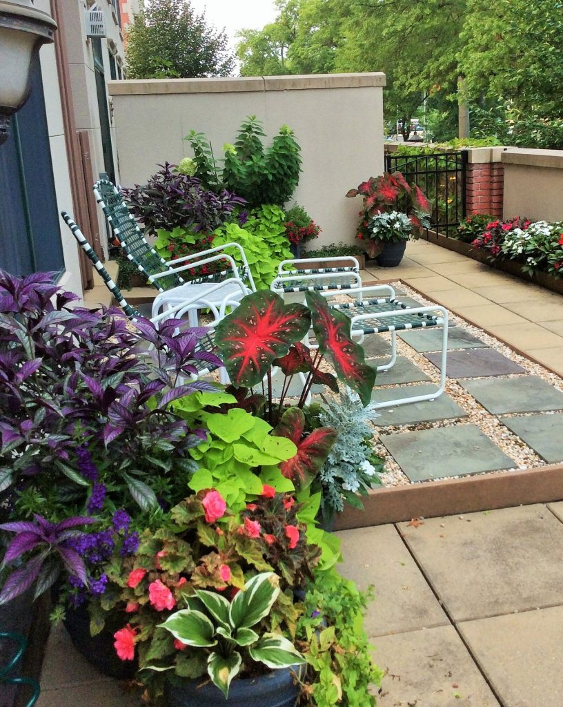 Terrace gardening