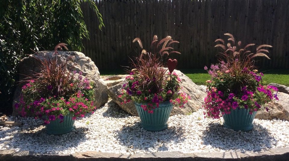 Garden planters-Ornamental gasses and millon bells in Larchmont, NY