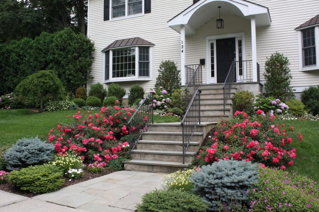 Front yard garden with roses and hydrangea