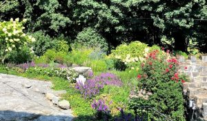 Landscape design with birdbath