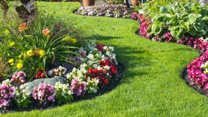 landscape design with pink flower trim
