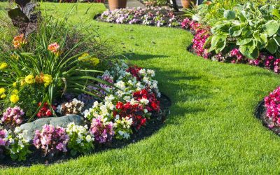 The Best Types of Mulch to Use in Your Garden