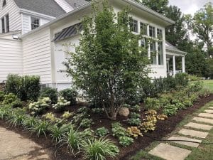 Landscaping after a kitchen renovation