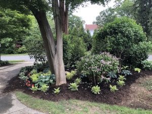 landscape solutions.2 3