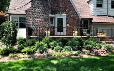 How to Incorporate Trees and Structures to Shade Your Garden