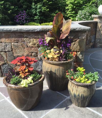 three flower pots