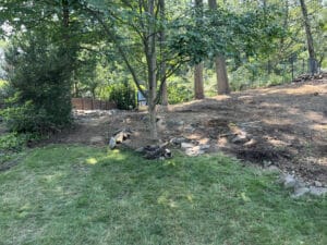 Backyard Designs before