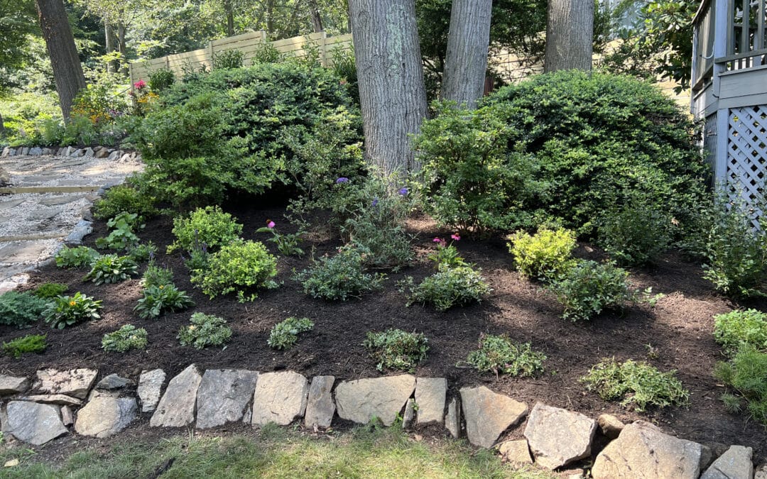 Outdoor living - New Rochelle