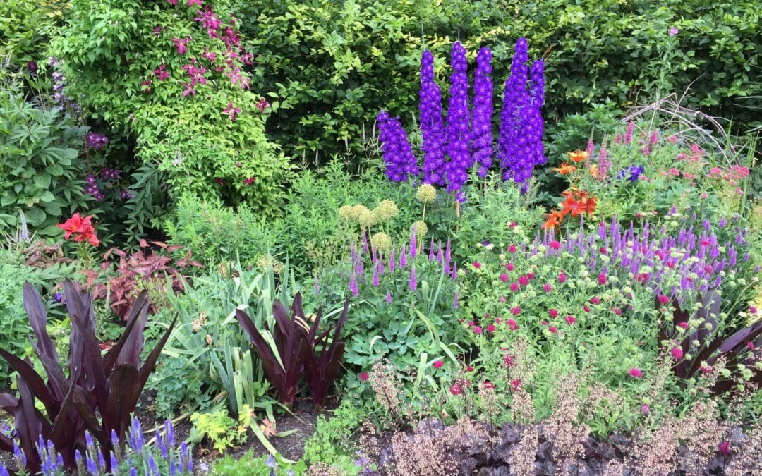 Perennial gardens in Westchester NY