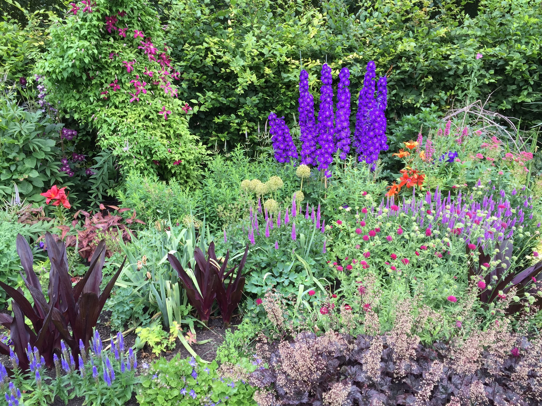 Perennial gardens in Westchester NY