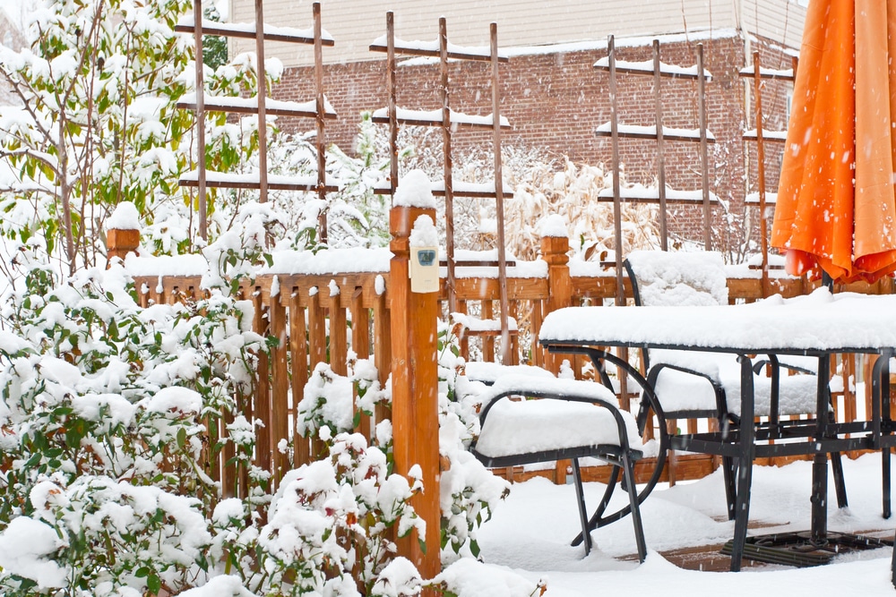 winter landscaping