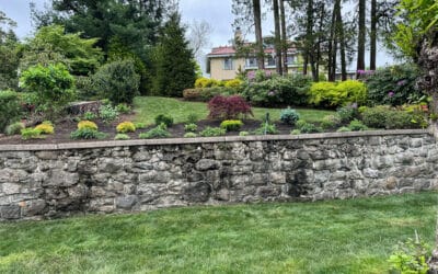 Top 5 Hardscaping Features to Enhance Your Backyard Entertaining Area