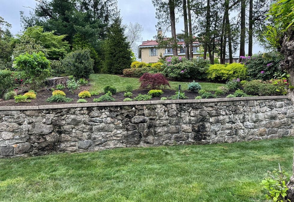 Top 5 Hardscaping Features to Enhance Your Backyard Entertaining Area
