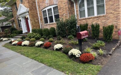 Hardscaping for Curb Appeal: Ideas to Enhance the Front of Your Home