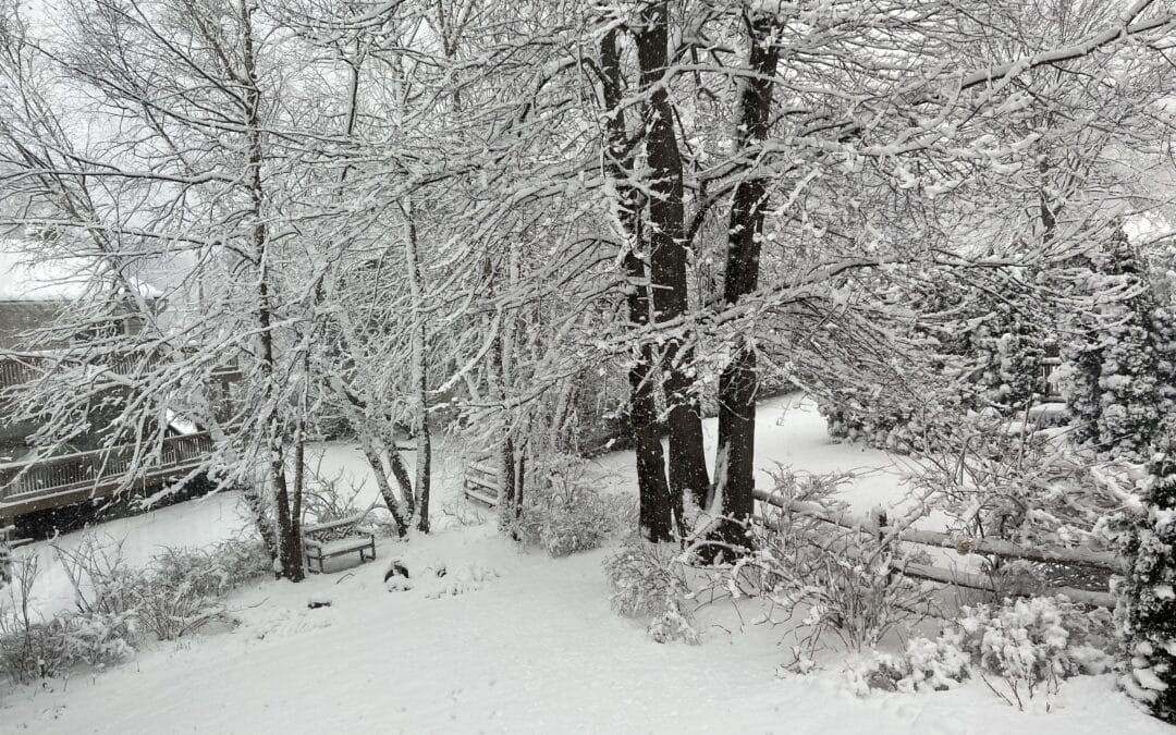 How to Winterize Your Landscape: A Complete Guide