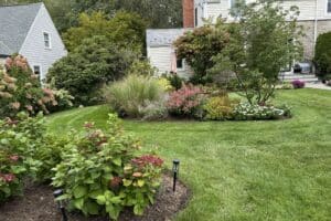 Hydrangea Grasses and Flowering Perennials