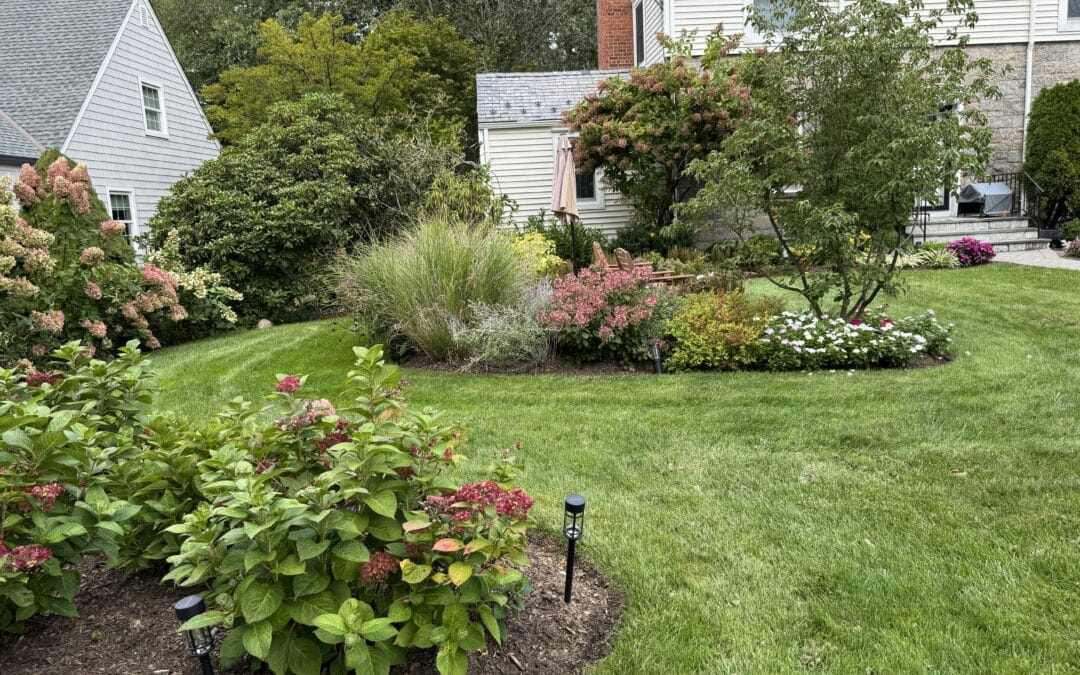 Bird-Friendly Garden